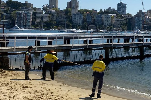 Officials checking the water at Redleaf Beach on Saturday.