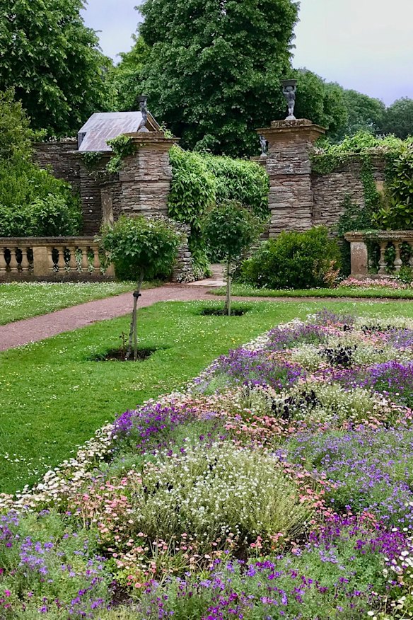 Daisies in beds, in the lawn and up the walls at Hestercombe.