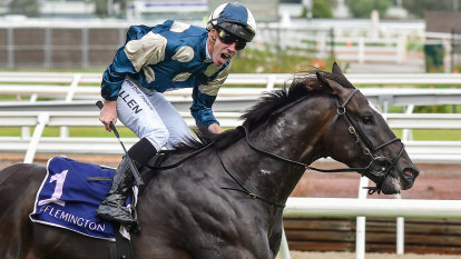 ‘A devastating blow’: Melbourne Cup favourite Hitotsu ruled out of spring carnival
