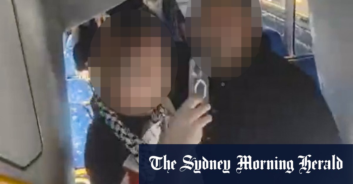 Pro-Palestine protesters allegedly assaulted on Sydney train