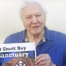 Sir David Attenborough joins campaign to stop the 'trophy' killing of sharks in Australian world heritage site