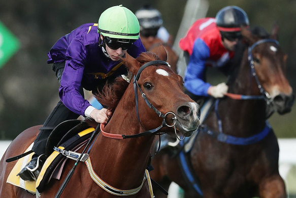 Robbie Dolan rides Mr Mosaic in a trial.