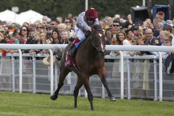 An emerging star of the local breeding scene, Frankie Dettori once called Shalaa the best two-year-old he had seen.