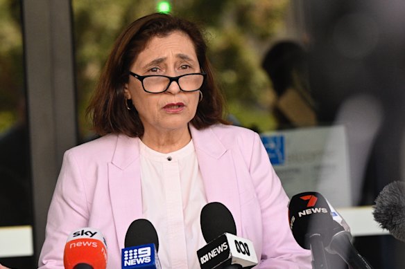 Energy and Resources Minister Lily D’Ambrosio.