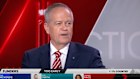 Bill Shorten on the Channel 7 panel on Saturday night.
