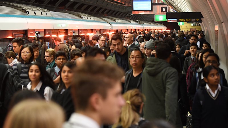 Free public transport ruled out for NSW as fuel crisis worsens
