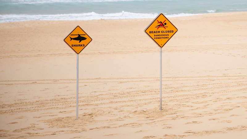 Sydney beaches closed for third consecutive day after shark sighting