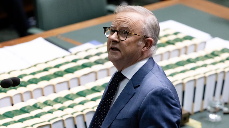 Hanson and Taylor shift election messaging as Albanese retains political momentum