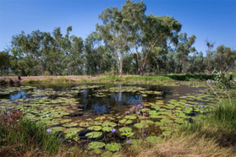 Doongmabulla Springs, south-west of the proposed Carmichael mine.  
