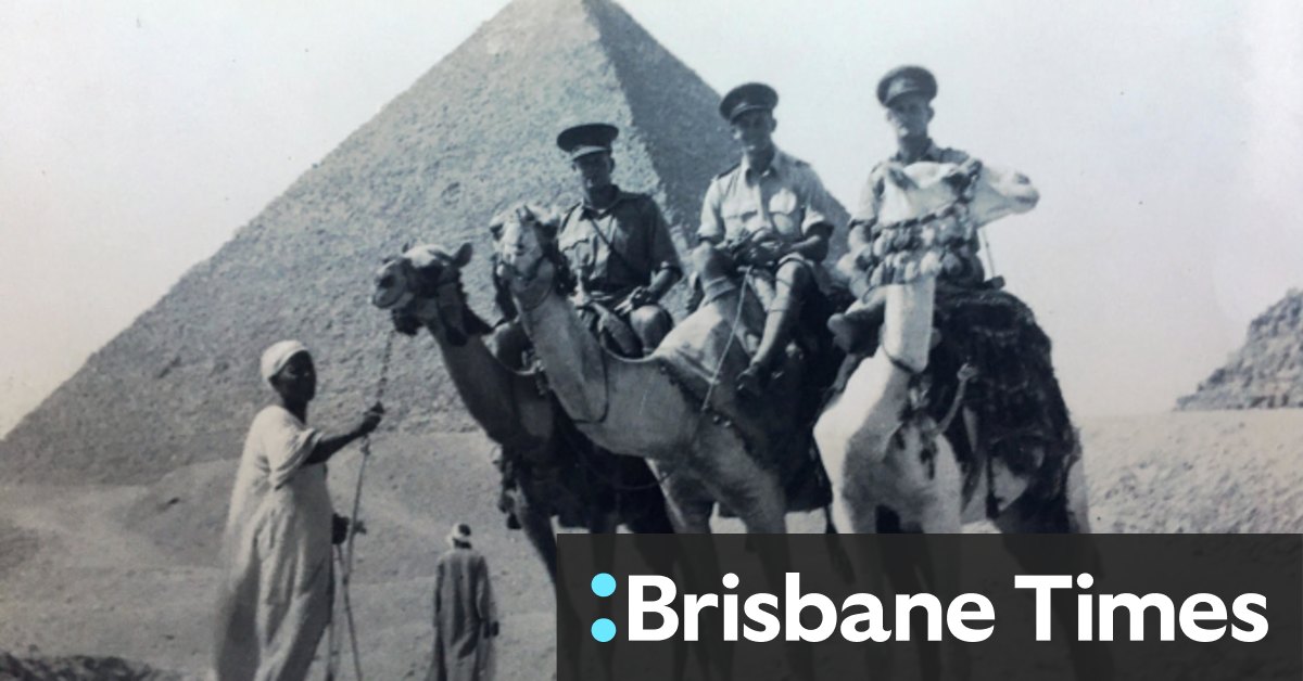 Andrew Probyn on the story of a dog, WWII and the one-armed man - Vimarsana News