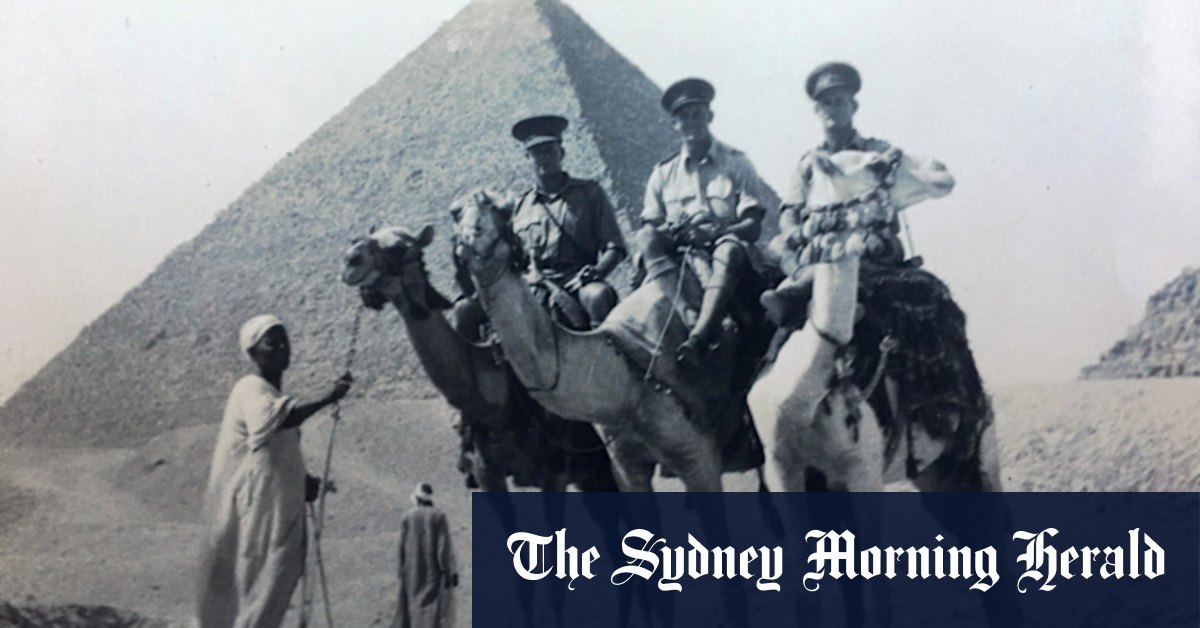 Andrew Probyn on the story of a dog, WWII and the one-armed man - Vimarsana News