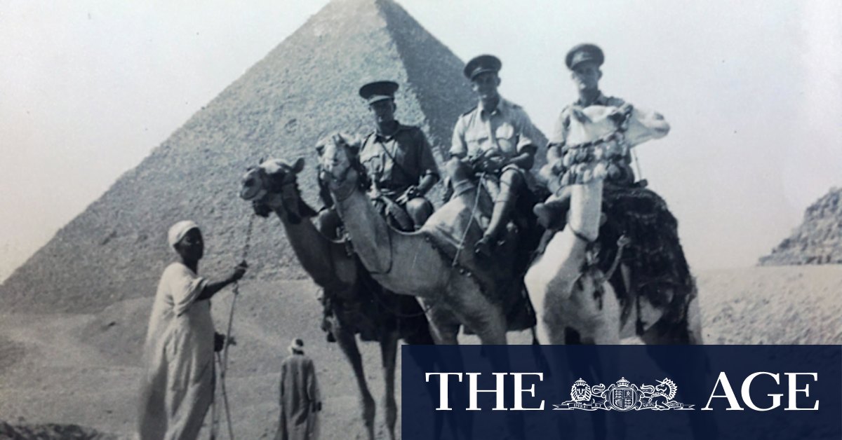 Andrew Probyn on the story of a dog, WWII and the one-armed man - Vimarsana News