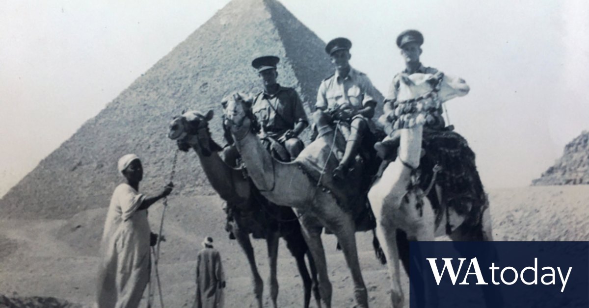 Calypso the dog, WWII and tracing the extraordinary life of a one-armed man