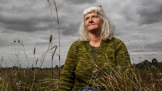 Ecologist Dr Megan O'Shea who has been studying and working in the regeneration of the grasslands, with Kangaroo grass in Pimelea remnant grasslands in Cairnlea.
