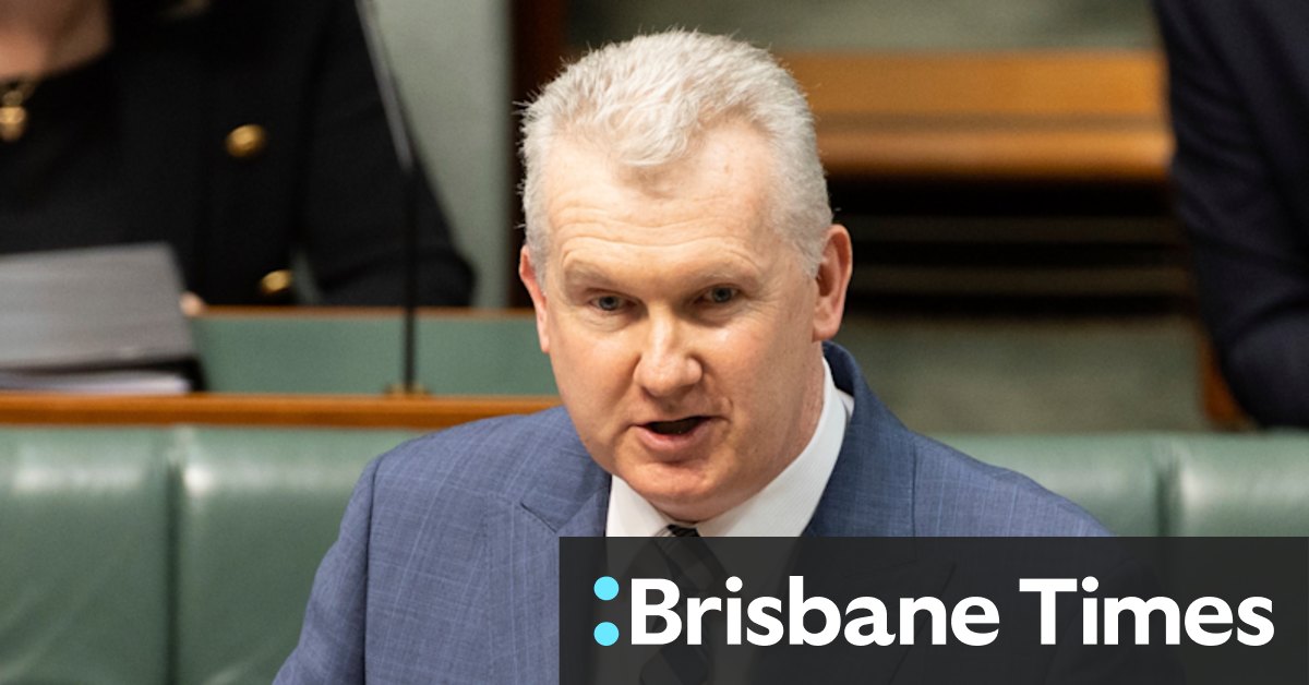 Workplace relations: Tony Burke flags new union veto clause in wage bargaining bill - Vimarsana News