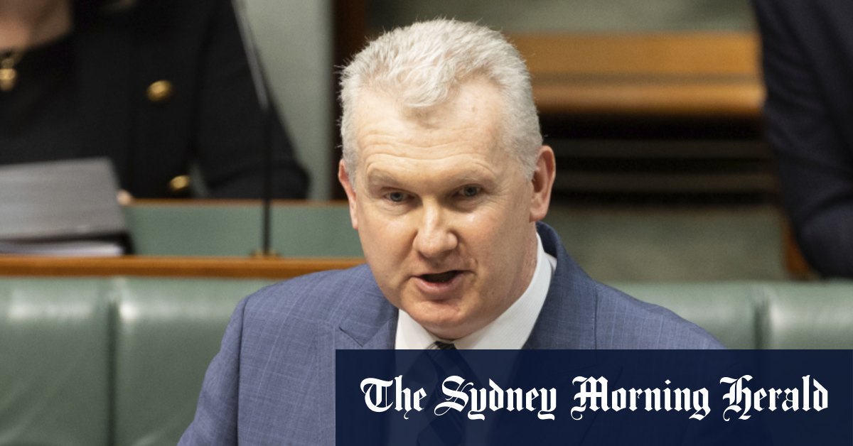 Workplace relations: Tony Burke flags new union veto clause in wage bargaining bill - Vimarsana News