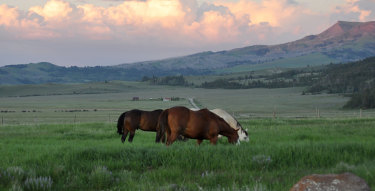 The Beaverhead ranch in Montana.