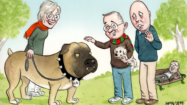 Illustration: John Shakespeare