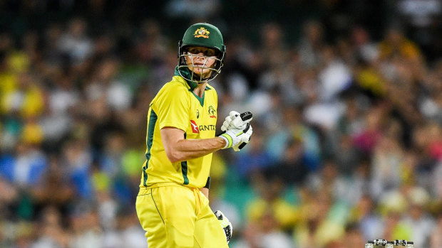 Orderly: If he's fit, Steve Smith will be back in the coloured clothing for the World Cup.