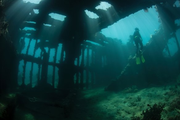 There are hundreds of World War II wrecks off the Solomons, making it a spectacular place for diving.