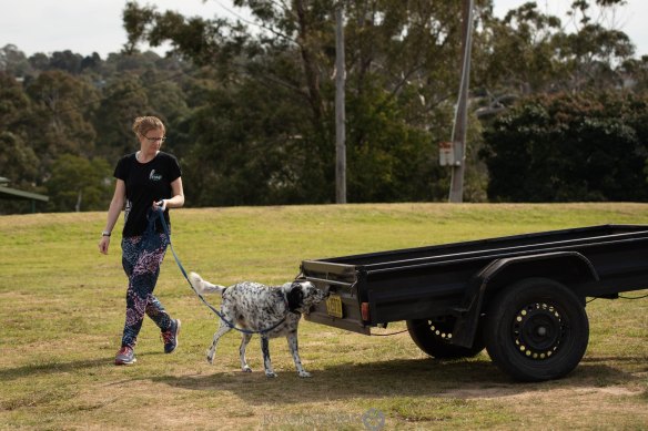 K9 Nose Work instructor Diane Randall first came to the activity as a learner, looking for something she and her own highly anxious rescue dog, Genki, could enjoy together.