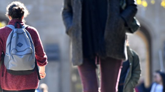 Hundreds of vocational and english colleges are at risk of closure, the sector says