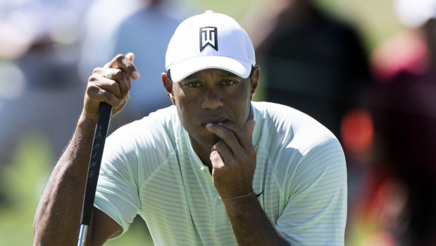 Locked in: Tiger Woods is in a share of the lead after the first round of the BMW Championship.