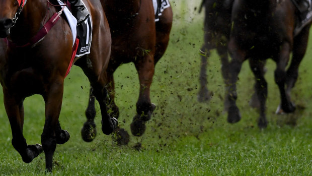 Mud and guts: A   heavy track is expected today at Armidale.