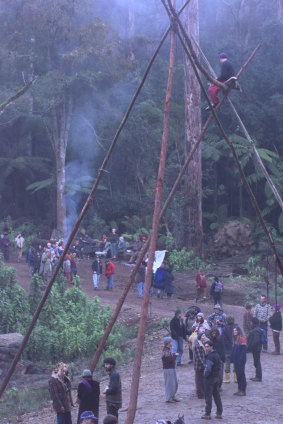 Demonstrators wait to be arrested high up on sticks in the Goolengook forrest.