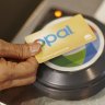 Woolworths 'system error' hands Opal card customers a discount