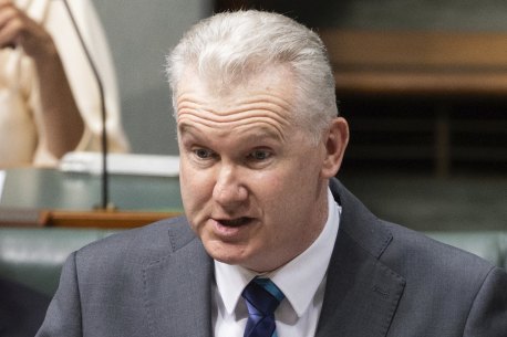 Workplace Relations Minister Tony Burke is weighing up federal interventions including deregistering the CFMEU’s construction division or appointing an external administrator.