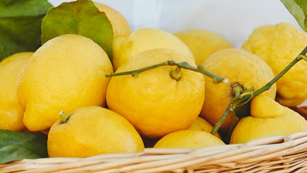 When life gives you lemons, share them with the neighbours.