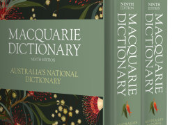 Delulu, algospeak, bopo –  the Macquarie Dictionary’s words of the year have some rizz.