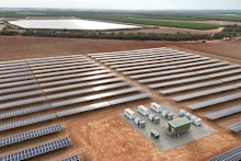 The Canally Almond Farm. 