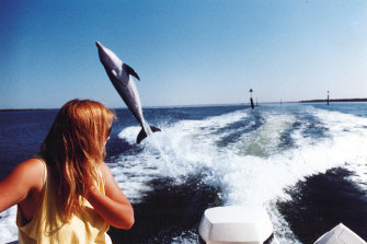 Melody loved watching Jock leap high behind the research boat.
