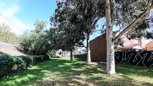 Eddy Court Reserve was part of the area being considered for the affordable housing development.