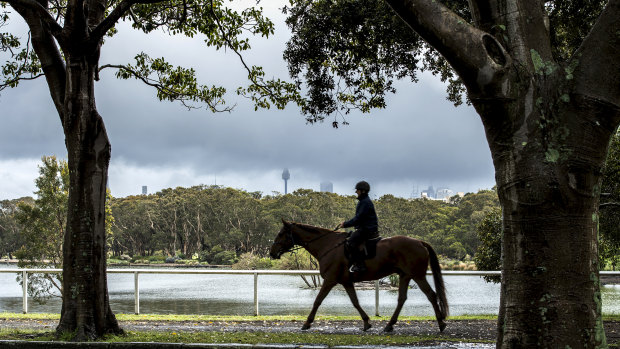 Centennial Park lies within Randwick Council area, though it's used by people from all over Sydney.