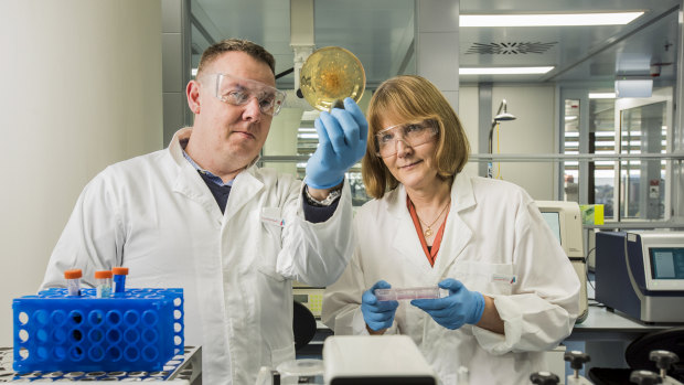 Professor Maija Kohonen-Corish and Associate Professor Brian Oliver at Woolcock Institute's new microbiome lab in Glebe.