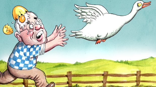 Illustration: John Shakespeare