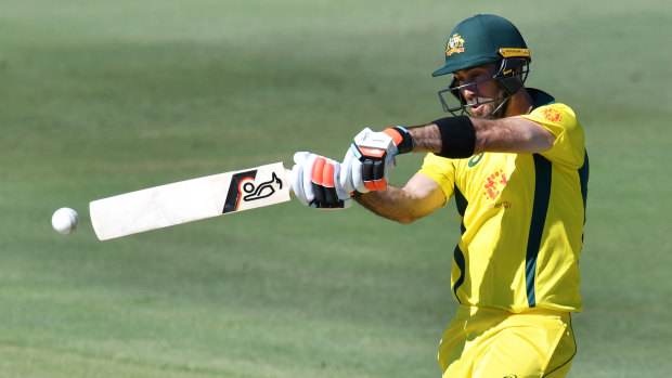 Glenn Maxwell will be uncharacteristically watchful against Afghanistan's spin king.