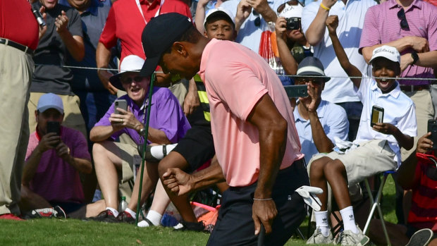 Joy: Tiger Woods felt in control throughout his round as he took a share of the lead.