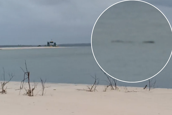 Video taken by camper Chris Kelly of the suspected crocodile near Rainbow Beach.