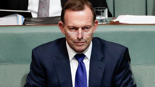 'This will be Abbott's last term': Liberals call time on former PM as tide turns in Warringah