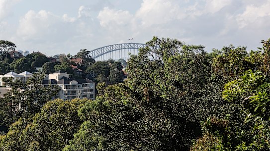 Shirley Road Apartment.