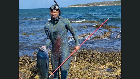 NSW authorities issued a penalty notice after a man spearfished the blue groper in Sydney’s south on December 30.
