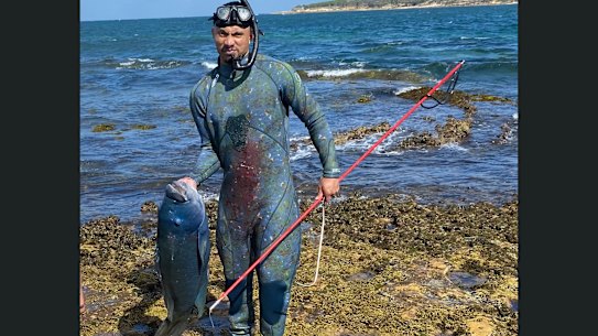 NSW authorities are investigating after a man allegedly spearfished a Blue Groper in Sydney’s south on December 30.
