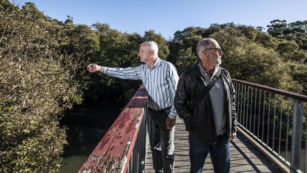 Why are mangroves suddenly dying? This council thinks it has the answer
