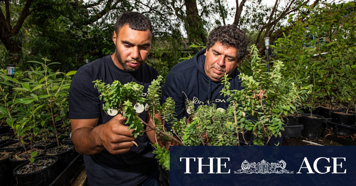 The battle to save Sydney's floral treasures goes through these men - Vimarsana News