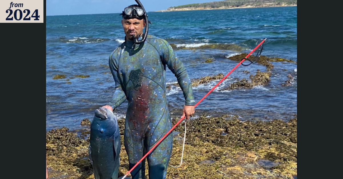 Why Cronulla won’t get a marine park to save Gus the Groper’s mates