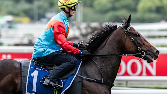 Everest favourite Ka Ying Rising.